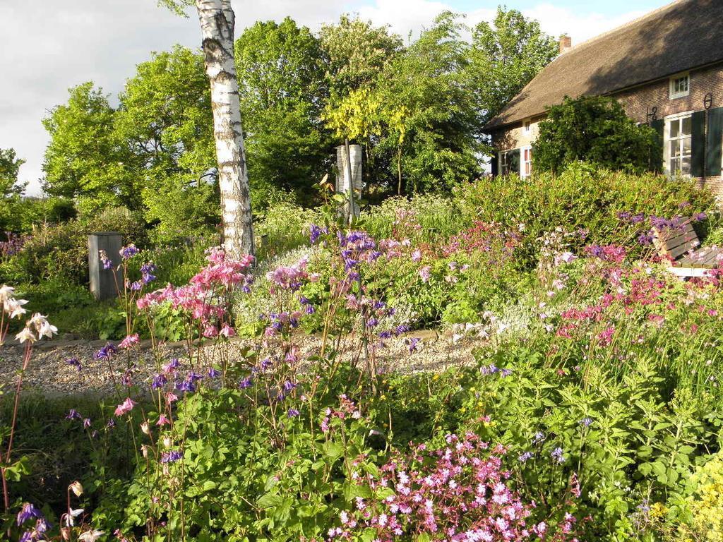 Randwijk Bed & Breakfast Hofstede Het Klaphek الغرفة الصورة